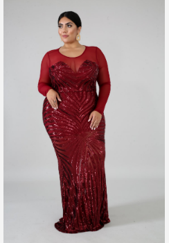 Plus Size Elegant Evening Dress